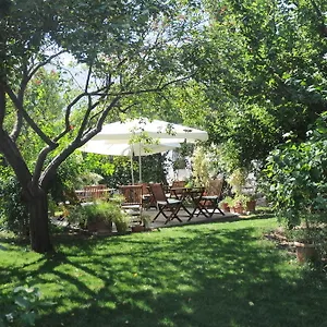 Gulec ** Bodrum